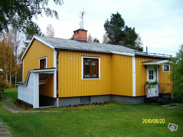 Bild